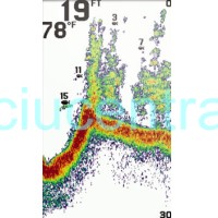 Humminbird PiranhaMAX 4 DI echolotas