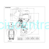 Suzuki DF40AT pakabinamas valties variklis 40 AG 